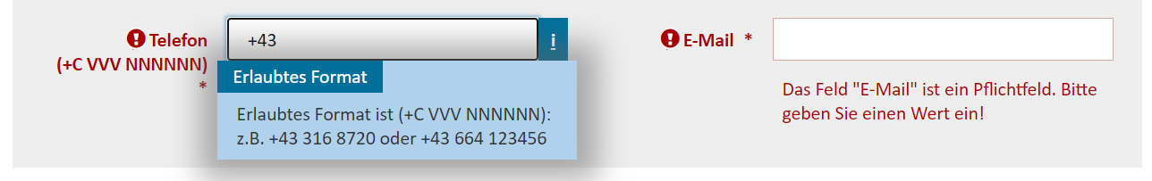 Weitere Informationen zu Eingabefeldern Weitere Informationen zu Eingabefeldern